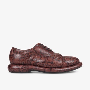 Clarks Martine Rose Mens Oxford 1 Brown Snake Finskor Herr Bruna Ormskinn | CUG-370594