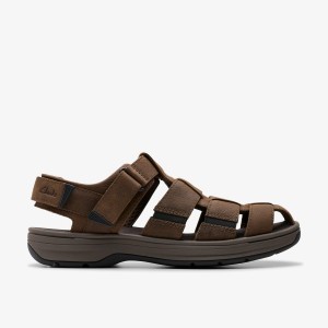 Clarks Saltway Cove Dark Brown Leather Sandaler Herr Mörkbruna | WGL-681043