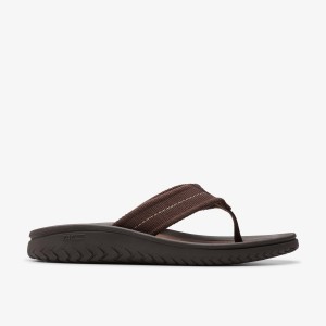 Clarks WESLEY BELT Dark Brown Sandaler Herr Mörkbruna | YEW-539864