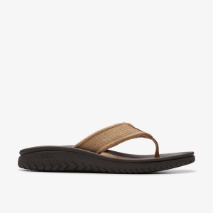 Clarks Wesley Belt Desert Sandaler Herr Desert | OVY-293176